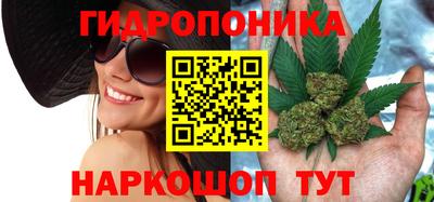стаф Анапа