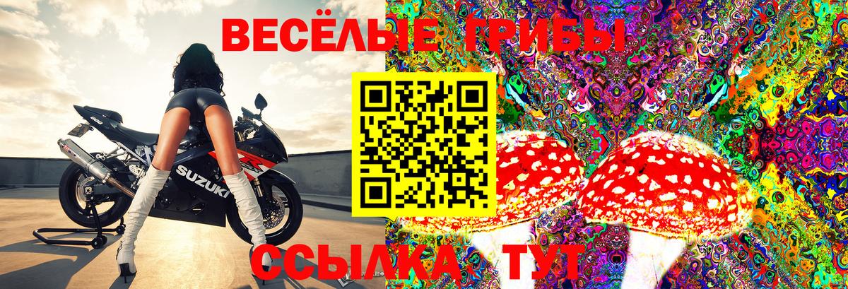 Псилоцибиновые грибы GOLDEN TEACHER  Вход с VPN  Псилоцибиновые грибы Cubensis  купить закладку  Архангельск 